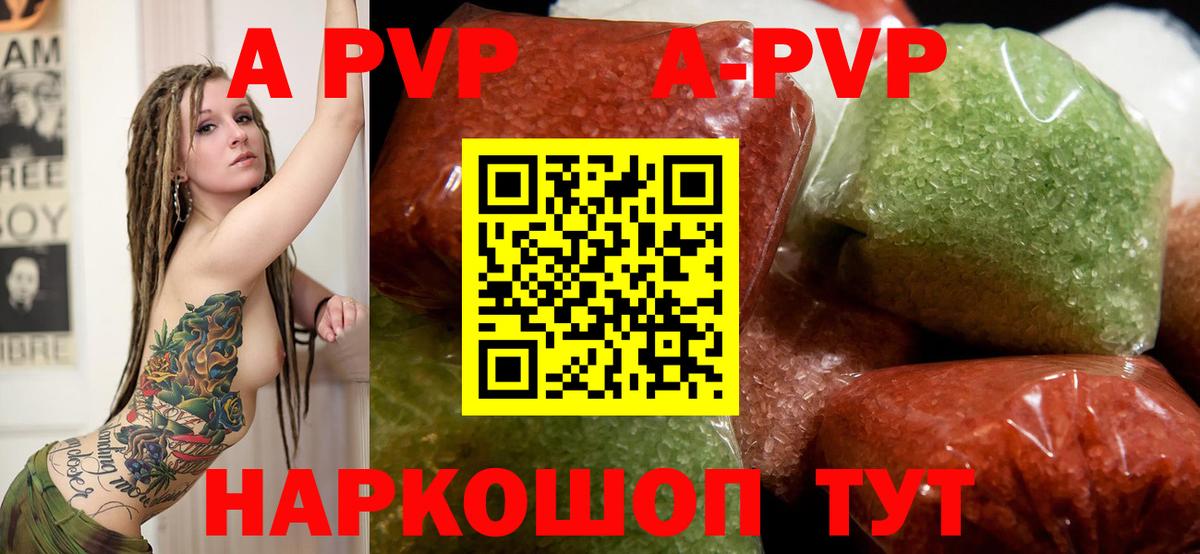 A PVP СК КРИС Энгельс