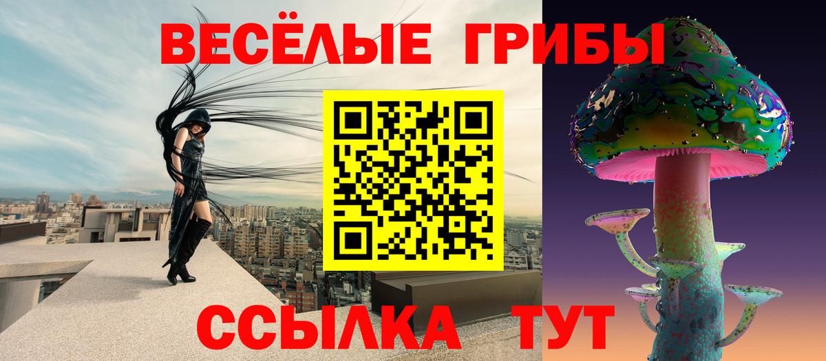 Галлюциногенные грибы ЛСД Энгельс