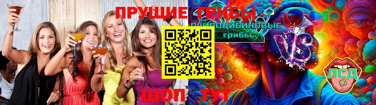 Энгельс  Галлюциногенные грибы ЛСД  Галлюциногенные грибы Magic Shrooms  сколько стоит  Вход с VPN 